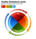 Total Blood Cholesterol HDL LDL Triglycerides Chart Royalty Free Stock Photo