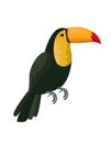 Image of a toucan vector