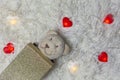 Image of toy bear garland carpet background Royalty Free Stock Photo