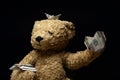 Image of toy bear money dark background