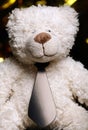 Image of toy bear tie