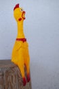 Image of toy rubber chicken Royalty Free Stock Photo