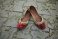 An Punjabi Traditional shoes jutti for women