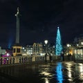 Christmas tree in Trafalgar Square Royalty Free Stock Photo