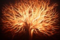 an image of a tree with flames coming out of it Royalty Free Stock Photo