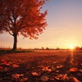 Tree of love. Red heart shaped tree at sunset. Beautiful landscape with red tree and falling leaves.Love background Royalty Free Stock Photo