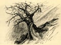 A twisted tree stands alone without leaves. Ink drawing. Royalty Free Stock Photo