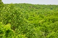 Tree top view of hill under white overcast sky at Kentucky Shepherdsville park Royalty Free Stock Photo