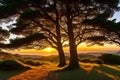 Tree trunk illuminated by the sunset light, Sintra-Cascais Natural Park, Portugal made with Generative AI