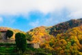 Autumn landscape in the forest of La Fageda de Grevolosa, La Garrotxa