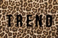 Image of trend text leopard textile background