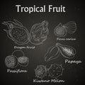 image of tropical fruits drawn on the chalkboard