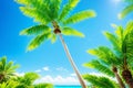 Tropical leaves palm tree ( Livistona ) on blue sky and sea background with space for text made with