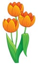 Image with tulip flower theme 1 Royalty Free Stock Photo