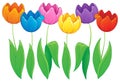 Image with tulip flower theme 2 Royalty Free Stock Photo