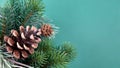 twig with pine cones background