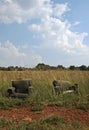 ABANDONED EASY CHAIRS IN THE VELD Royalty Free Stock Photo