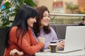 Image of two adorable pleasant cute good looking females sitting at table, using laptop, watching videos, surfing net, being Royalty Free Stock Photo