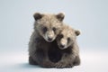 Image of two baby bears cubs cuddle together. Wildlife Animals. Illustration, Generative AI