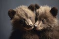 Image of two baby bears cubs cuddle together. Wildlife Animals. Illustration, Generative AI