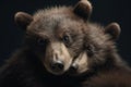 Image of two baby bears cubs cuddle together. Wildlife Animals. Illustration, Generative AI