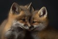 Image of two baby foxs cubs cuddle together. Wildlife Animals. Illustration, Generative AI