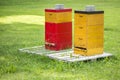 Two bee hives in the green grass Royalty Free Stock Photo