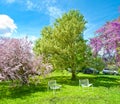 Image of two empty chairs among cut green grass