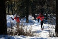 Cross Country Skiing