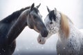 Image of two horses showing their bond. Wildlife Animals. Illustration. Generative AI