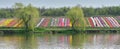 Image with two willows, carpets of flowers and lake. Weeping willow with long branches hanging over the lake water. . Royalty Free Stock Photo