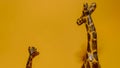 image of two wooden giraffes, one small and one large with a yellow background Royalty Free Stock Photo