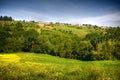 Image of typical tuscan landscape Royalty Free Stock Photo