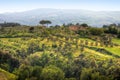 Image of typical tuscan landscape Royalty Free Stock Photo