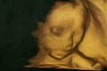 The Image of Ultrasound 3D/4D of baby in mother`s womb or Pregnancy Royalty Free Stock Photo