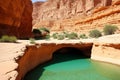 Unique canyon in the desert. Picturesque canyon Ein-Avdat in the Negev desert. Clean cold water in the creek