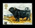 Wonderful Animal postage stamps