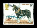 Wonderful Animal postage stamps