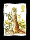 Wonderful Animal postage stamps