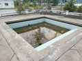 unmaintained outdoor swimming pool with algae floating on the water surface. Royalty Free Stock Photo