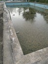 unmaintained outdoor swimming pool with algae floating on the water surface. Royalty Free Stock Photo