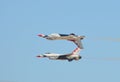 USAF Thunderbirds flying in formation Royalty Free Stock Photo