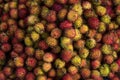 Rambutan fruit for trade, sell, design