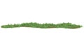 Realistic grass with isolated on background. 3d rendering - illustration Royalty Free Stock Photo