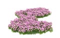 Realistic grass with flowers isolated on background. 3d rendering - illustration Royalty Free Stock Photo