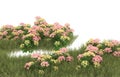 Realistic grass with flowers isolated on background. 3d rendering - illustration Royalty Free Stock Photo