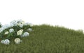 Realistic grass isolated on background. 3d rendering - illustration Royalty Free Stock Photo