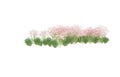 Realistic grass with flowers isolated on background. 3d rendering - illustration Royalty Free Stock Photo