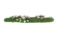 Realistic grass with flowers isolated on background. 3d rendering - illustration Royalty Free Stock Photo