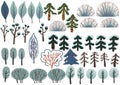 Coniferous and deciduous trees of the park